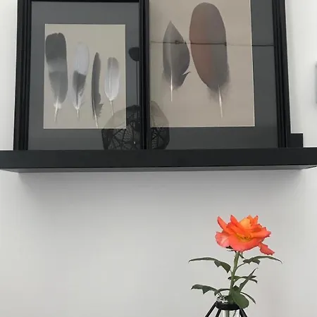 Bed & Breakfast Sotto La Vigna Charm Adults Only Vacation 4*