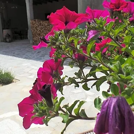 Sotto La Vigna Charm Adults Only Vacation Bed & Breakfast 4*